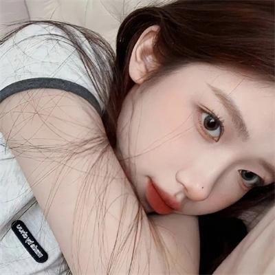 玩具熊的五夜后宫